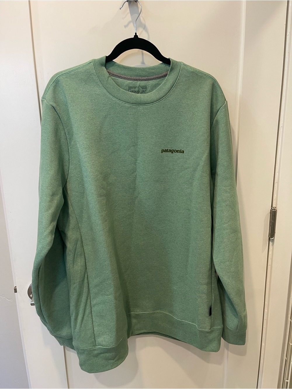Patagonia Women’s long Mint Green Crewneck Sweatshirt sz XL $79